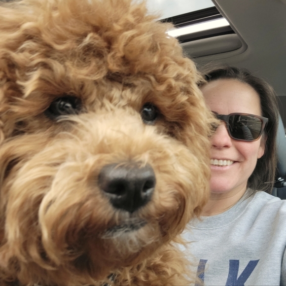 Meet your Posher, RL. - Picture 2 of 2